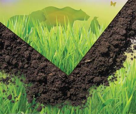 Rice Lake Red Goes Green Tn