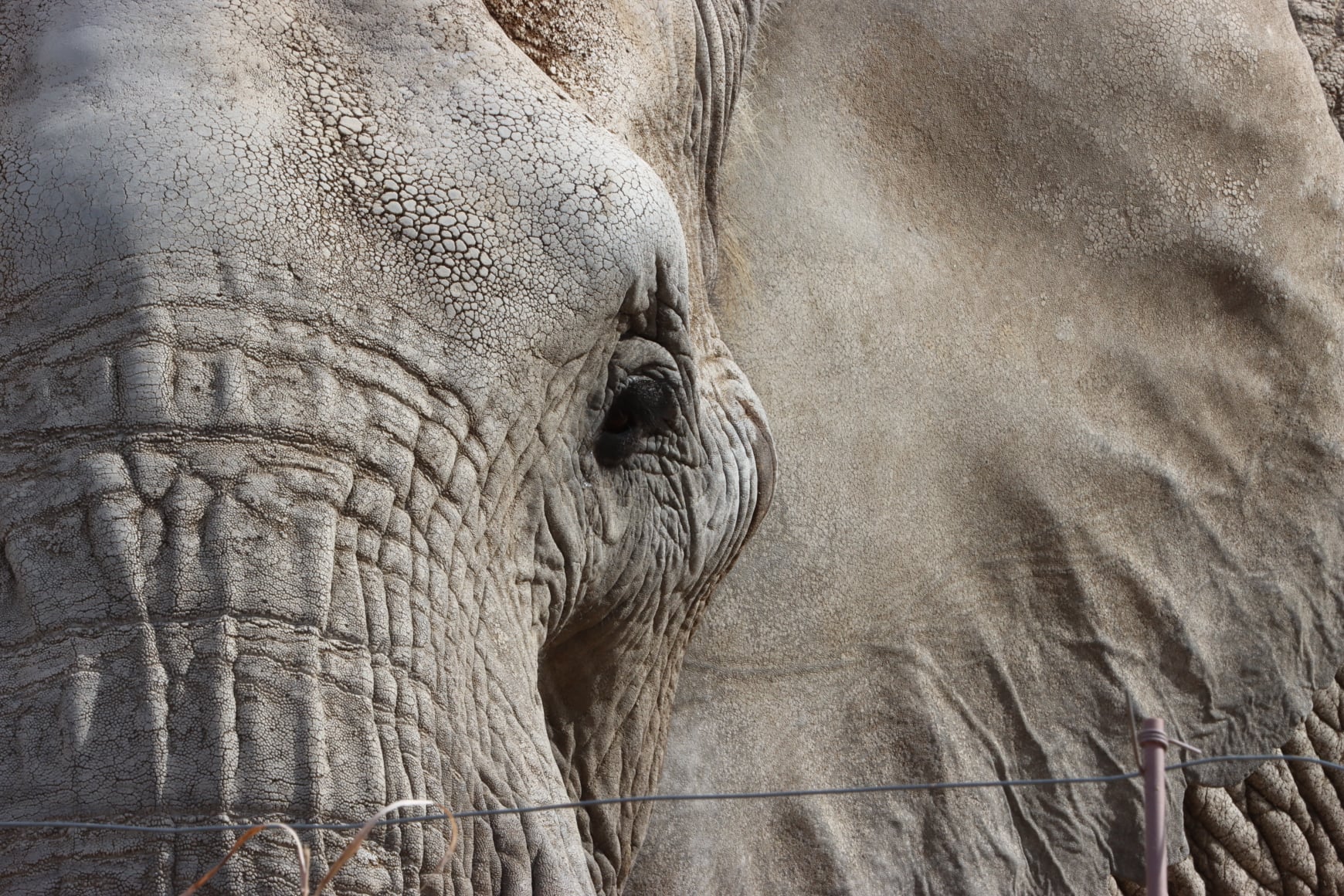 273855966 10159755140240851 3320633917349642006 N