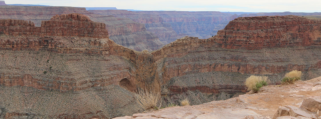 Spark Of Innovation Eagle