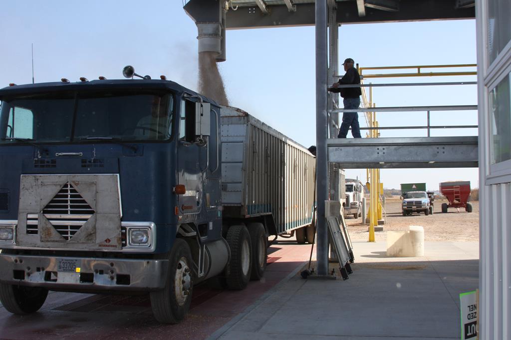 02 Grain Dump TS 030