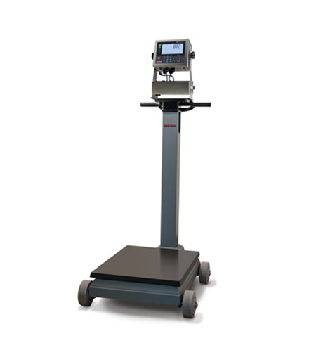 RL-RL1200-IS-Electromechanical-Portable-Beam-Scale