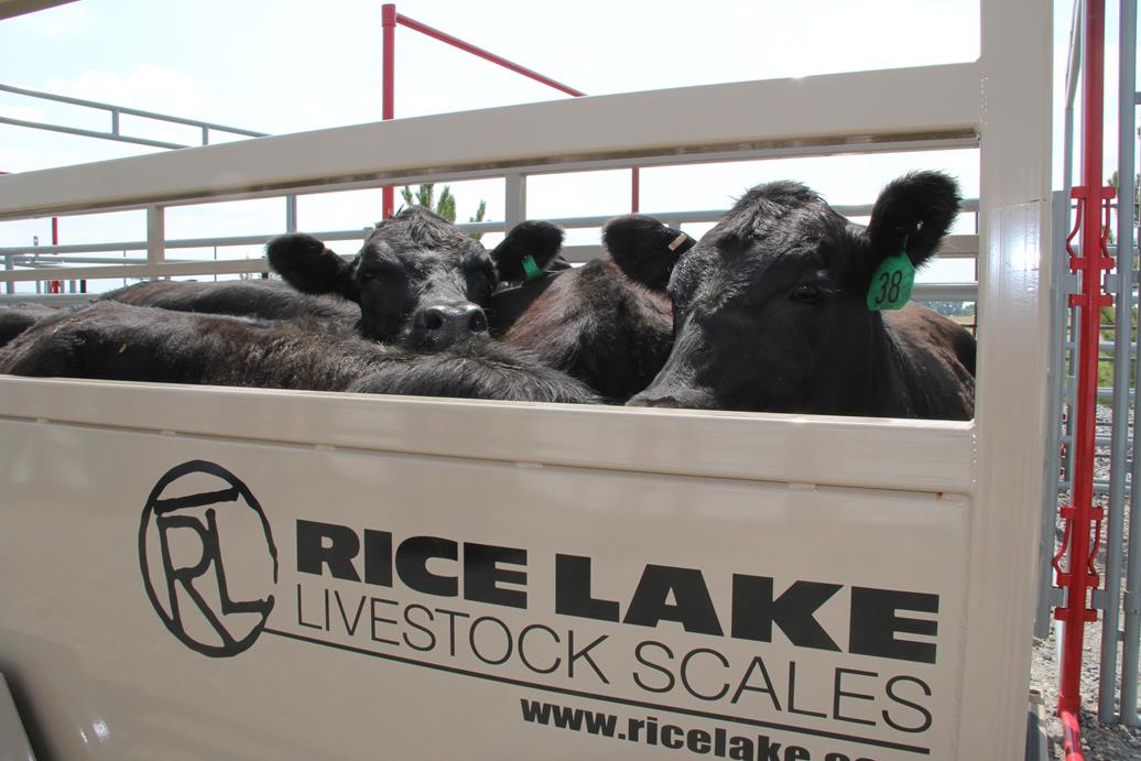 Livestockapplication