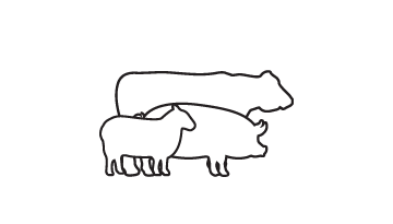 1 Illust Livestock Buyers Guide Scale Size