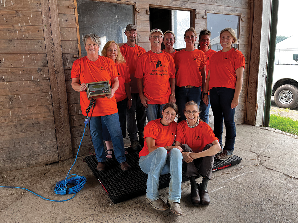 WEB Theteamonthescale