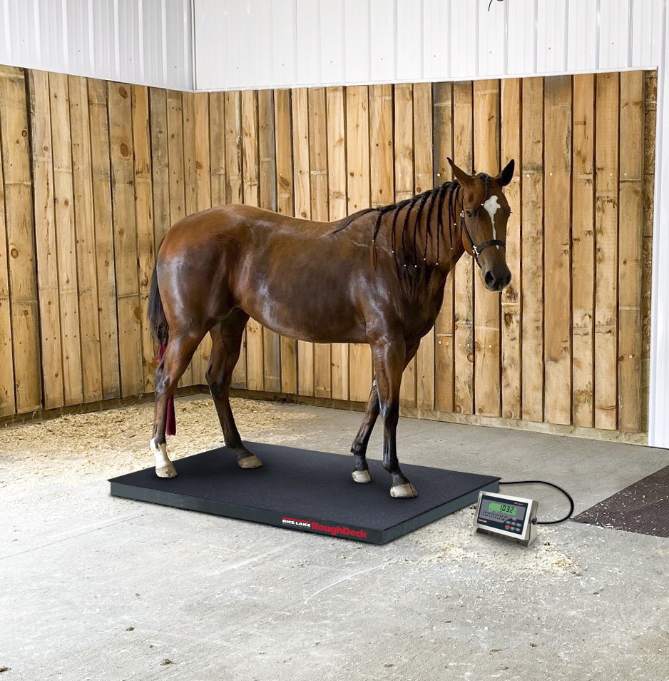 1 US APP Roughdeck EQ Juliet (2)