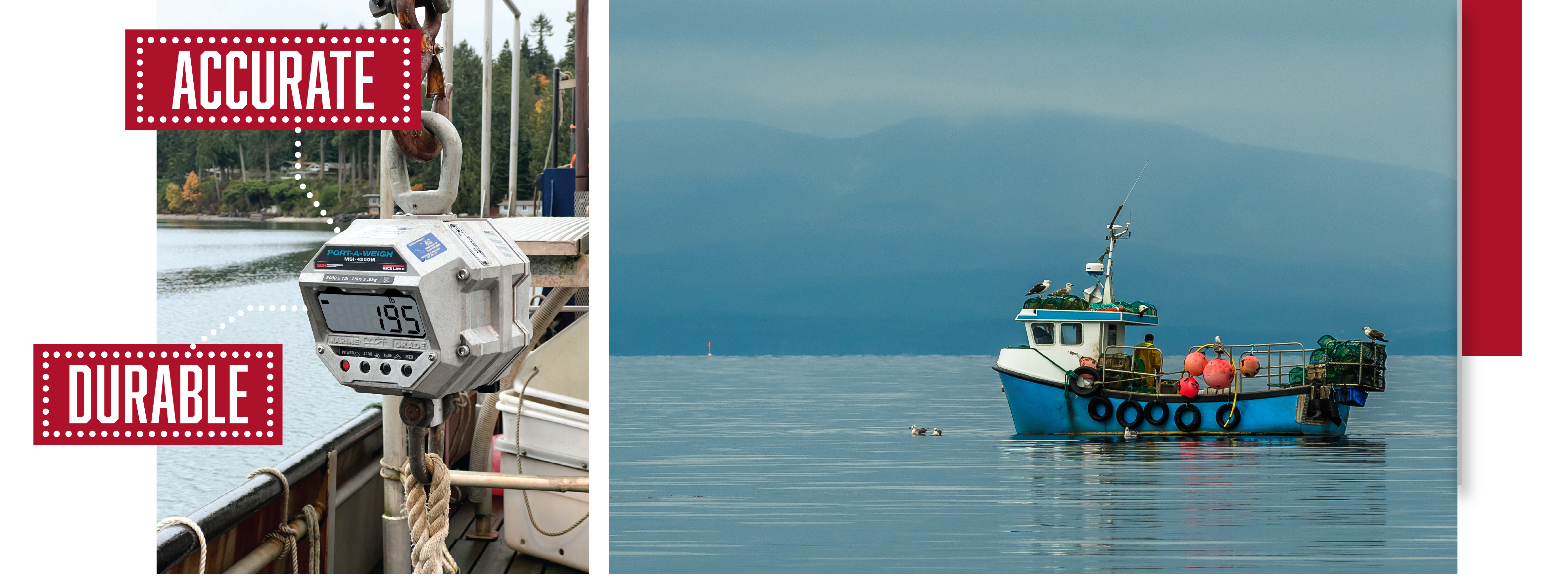 1 WEB Fishing Industry Crane Scales 1