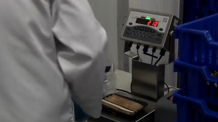 CW-90 Food Application preview