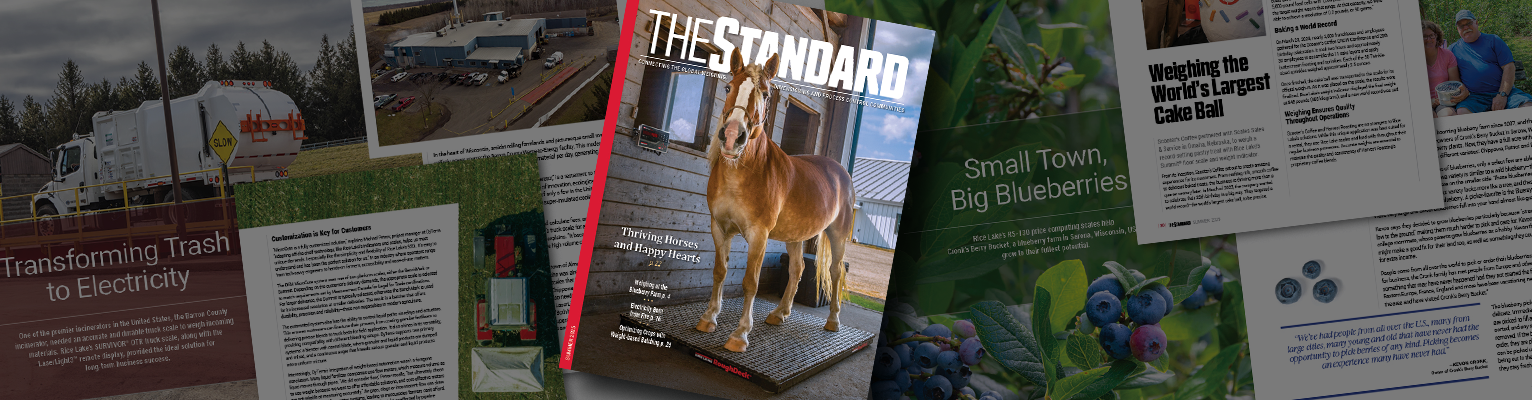 WEB Magazine Cover Banner 25 (1)