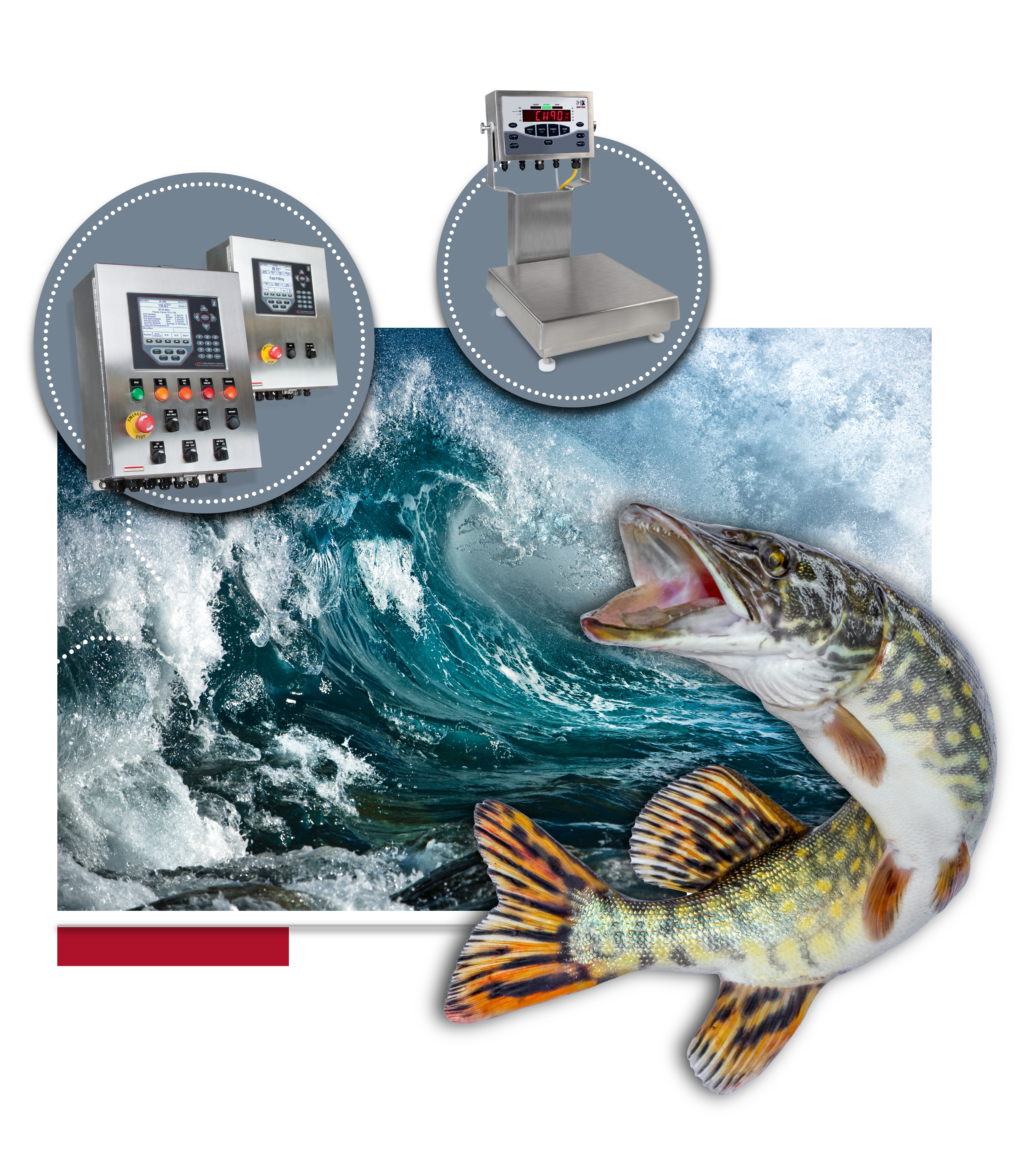 Fishing Industry 920 Checkweighing Copy