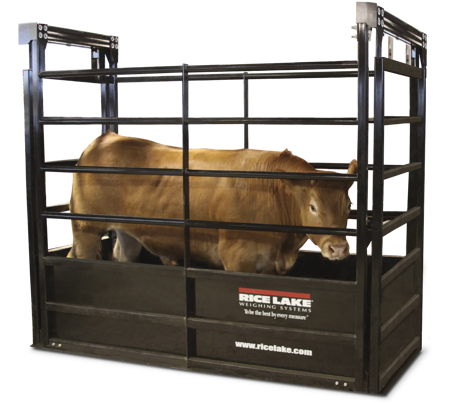 Portals 0 Products 41966Aeaced647eba3ccff35d95de604 Orig