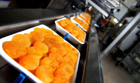 Industries Detail Products Tab 10 A Foodproc1sm