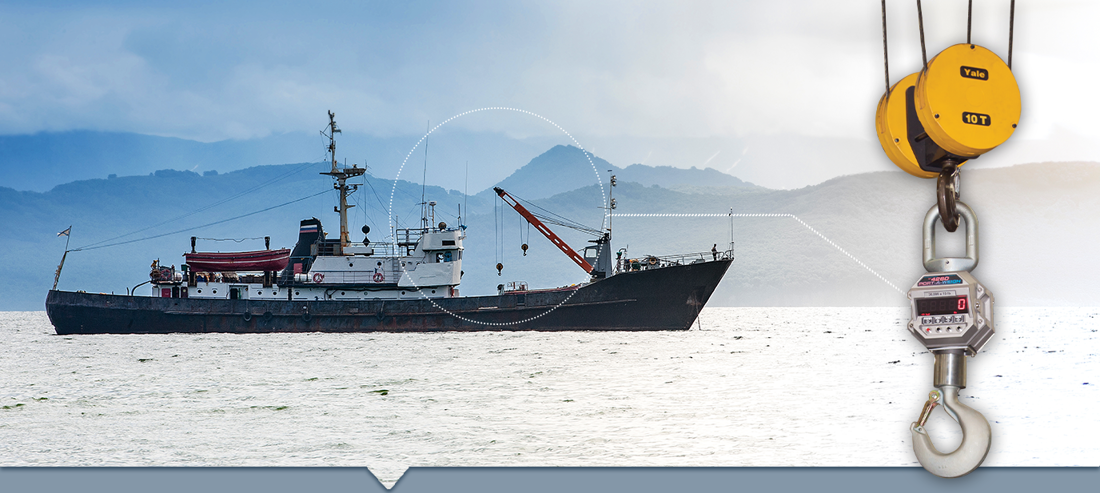 1 WEB Header Fishing