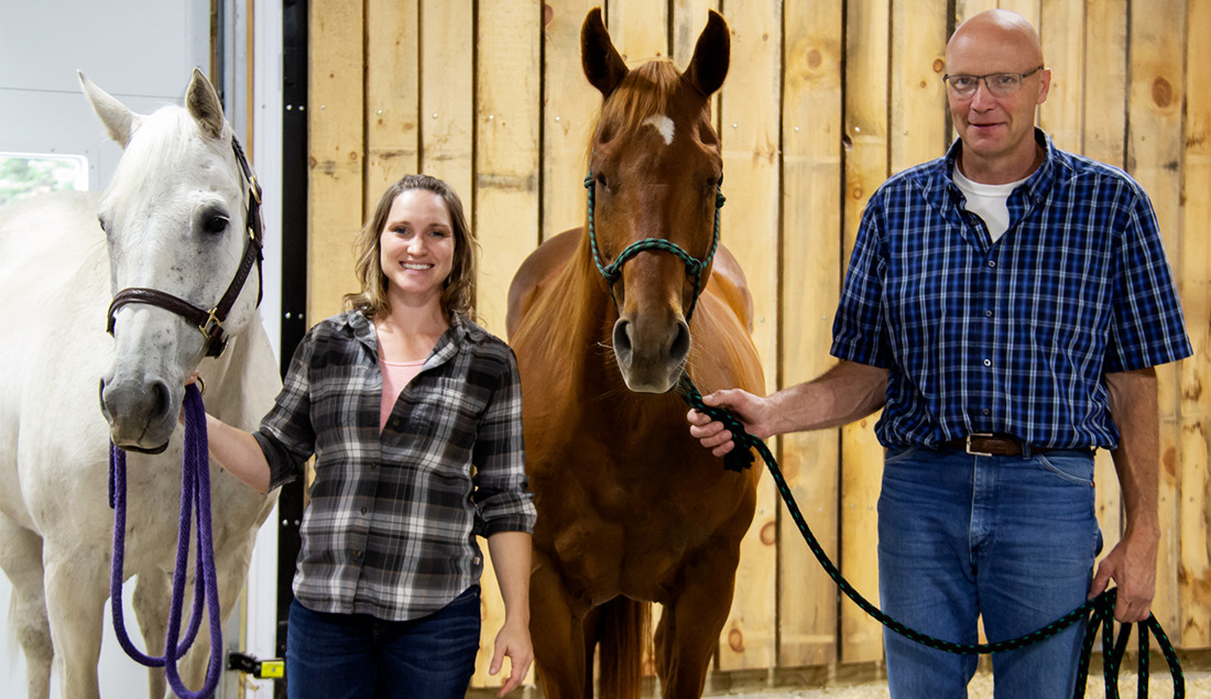 Horse Application Cropped