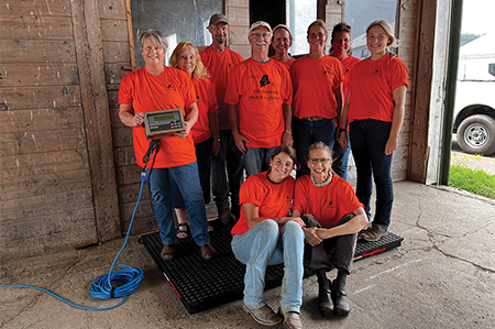 1 WEB Resources Horse