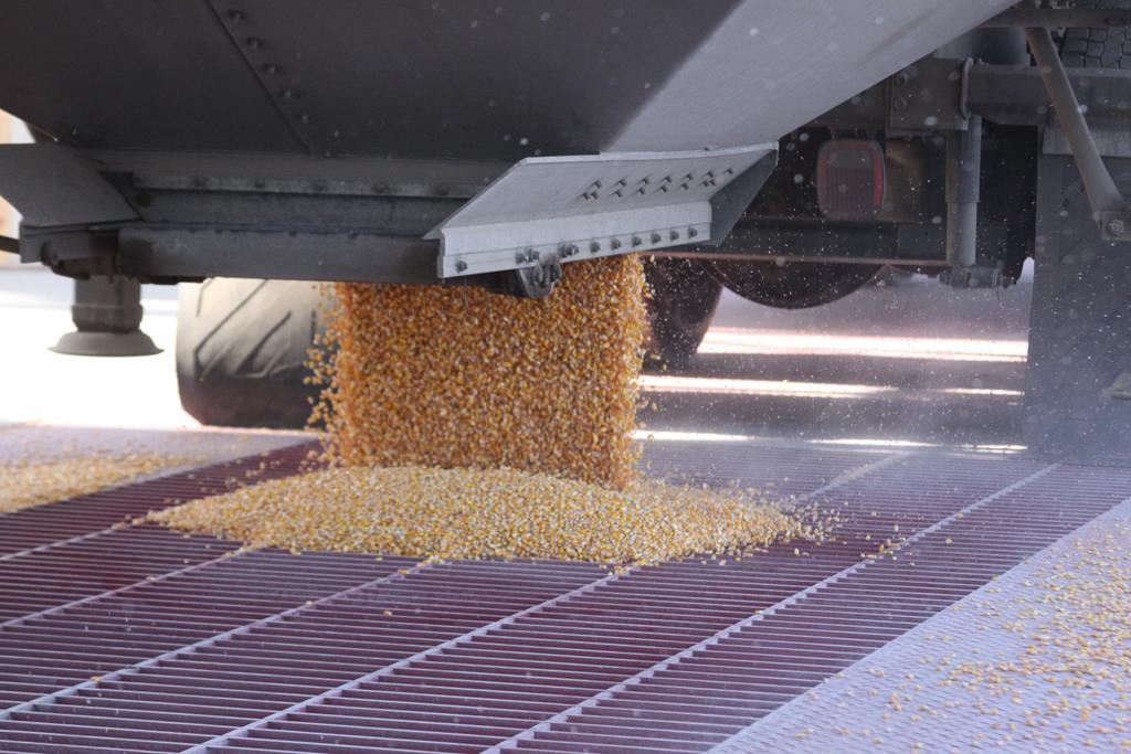 08 Grain Dump TS 129